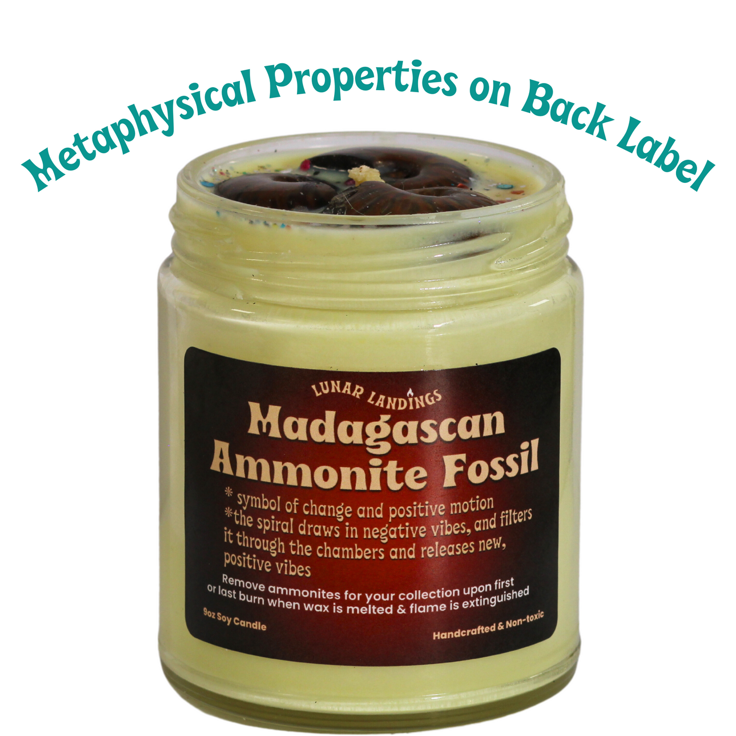 Ammonite Fossil Soy Candle