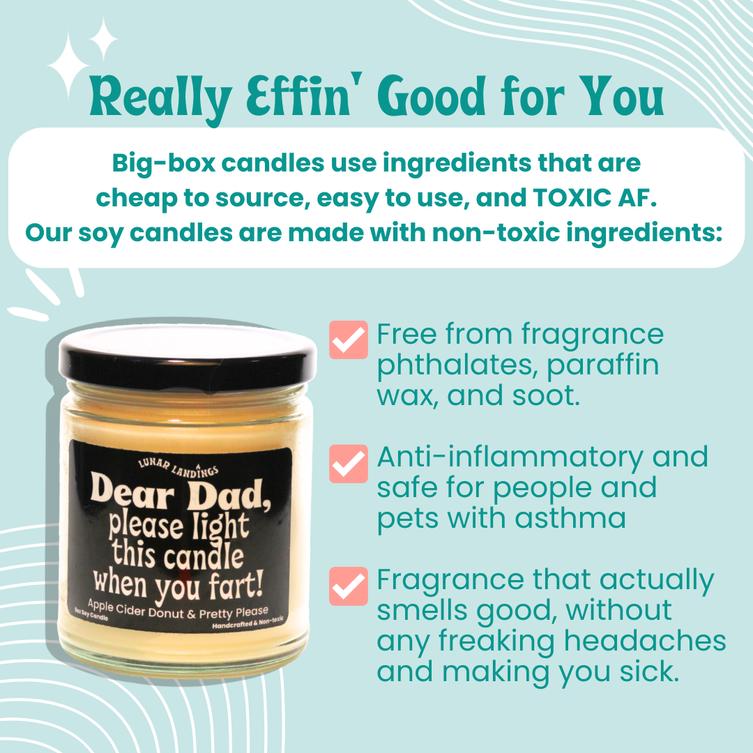 Dad Please Light When You Fart Soy Candle