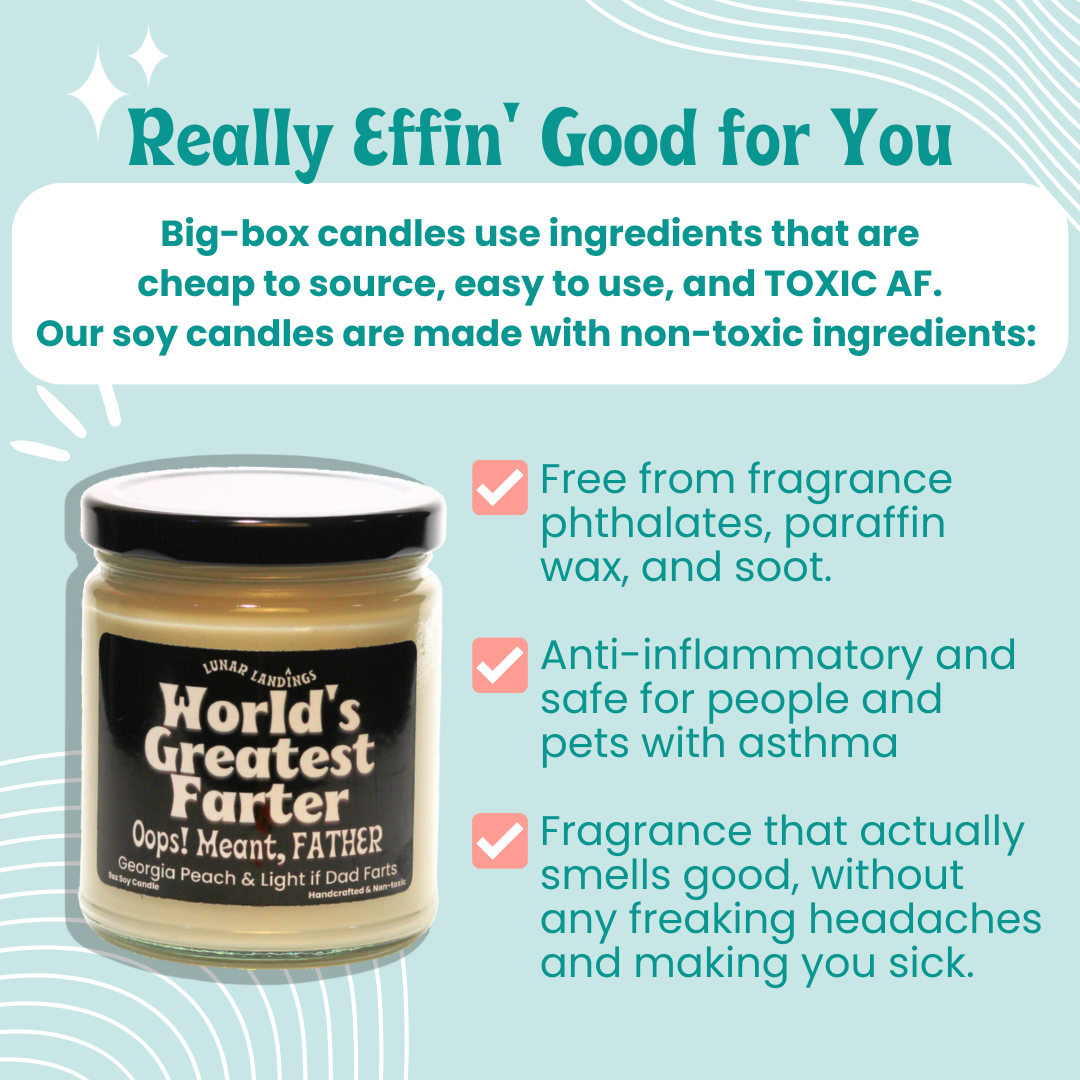 World's Greater Farter Soy Candle