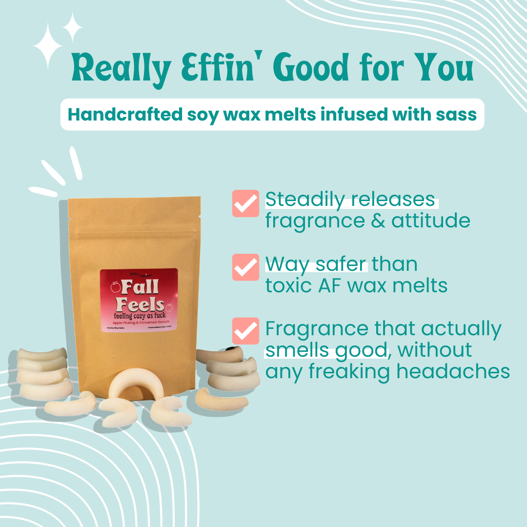 Fal Feels Apple Cider Donut Soy Wax Melts
