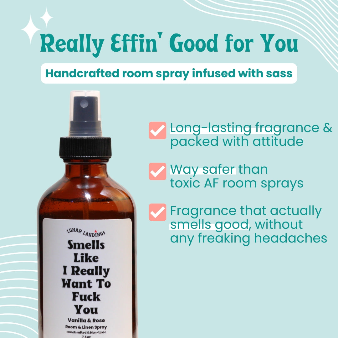 Smells Like I Really Want To Fuck You Room & Linen Spray