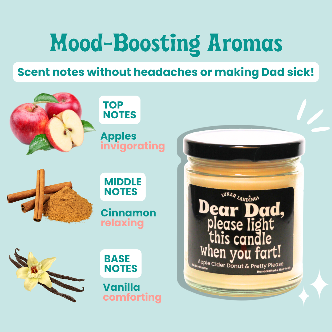 Dad Please Light When You Fart Soy Candle