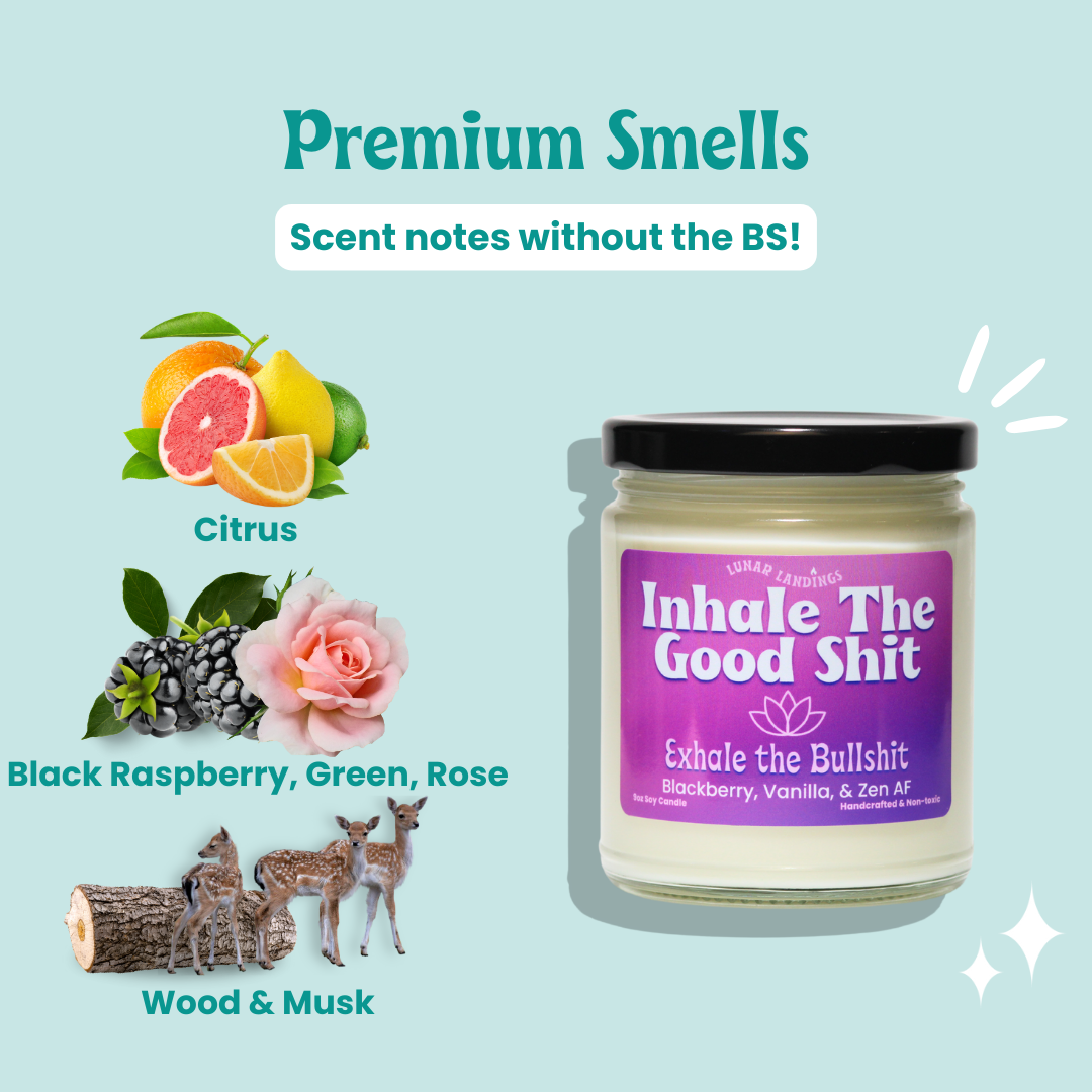 Black Raspberry Vanilla Soy Candle