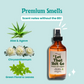 Aloe & Agave Room Spray