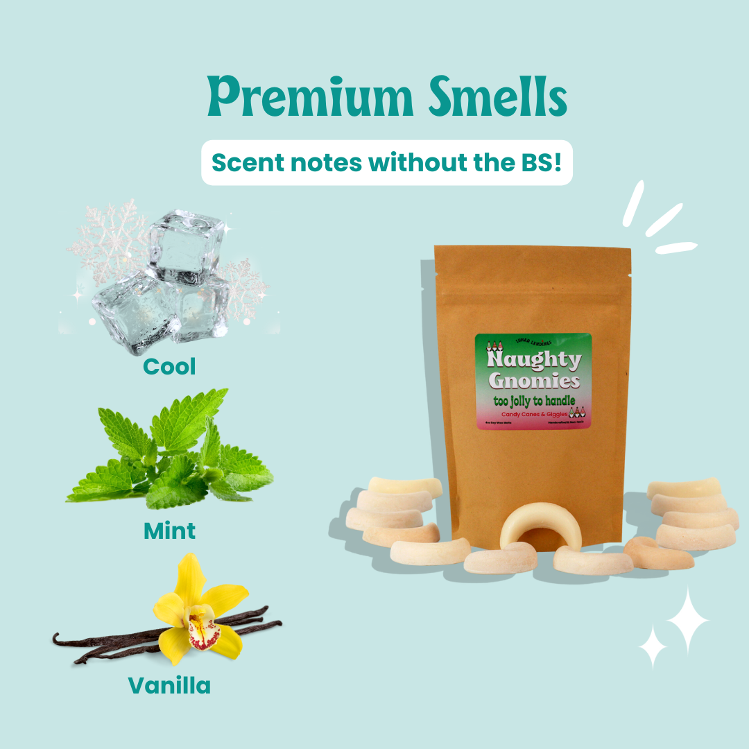 Naughty Gnomies, Candy Cane Wax Melts