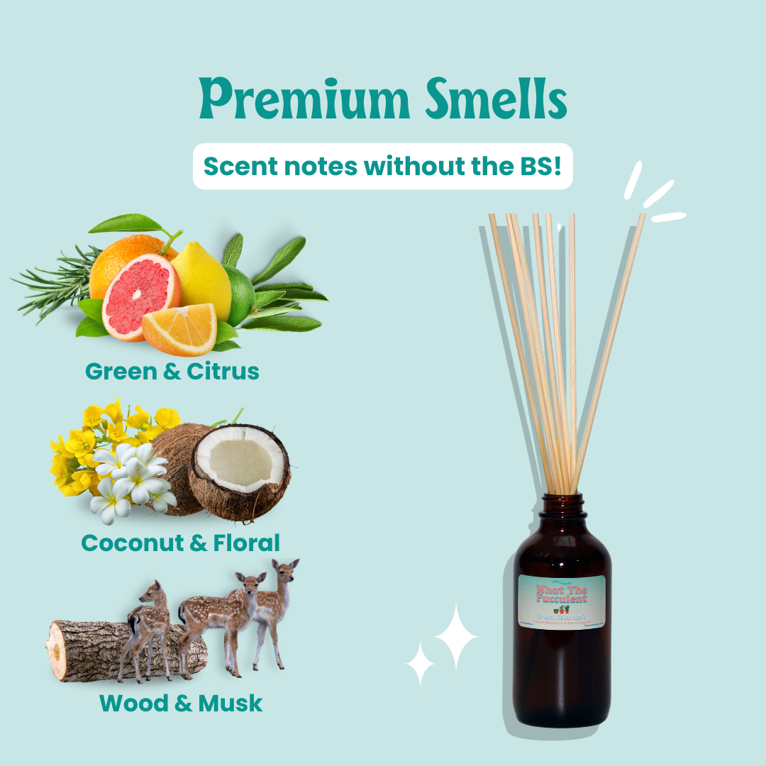 Baja Cactus Blossom Reed Diffuser
