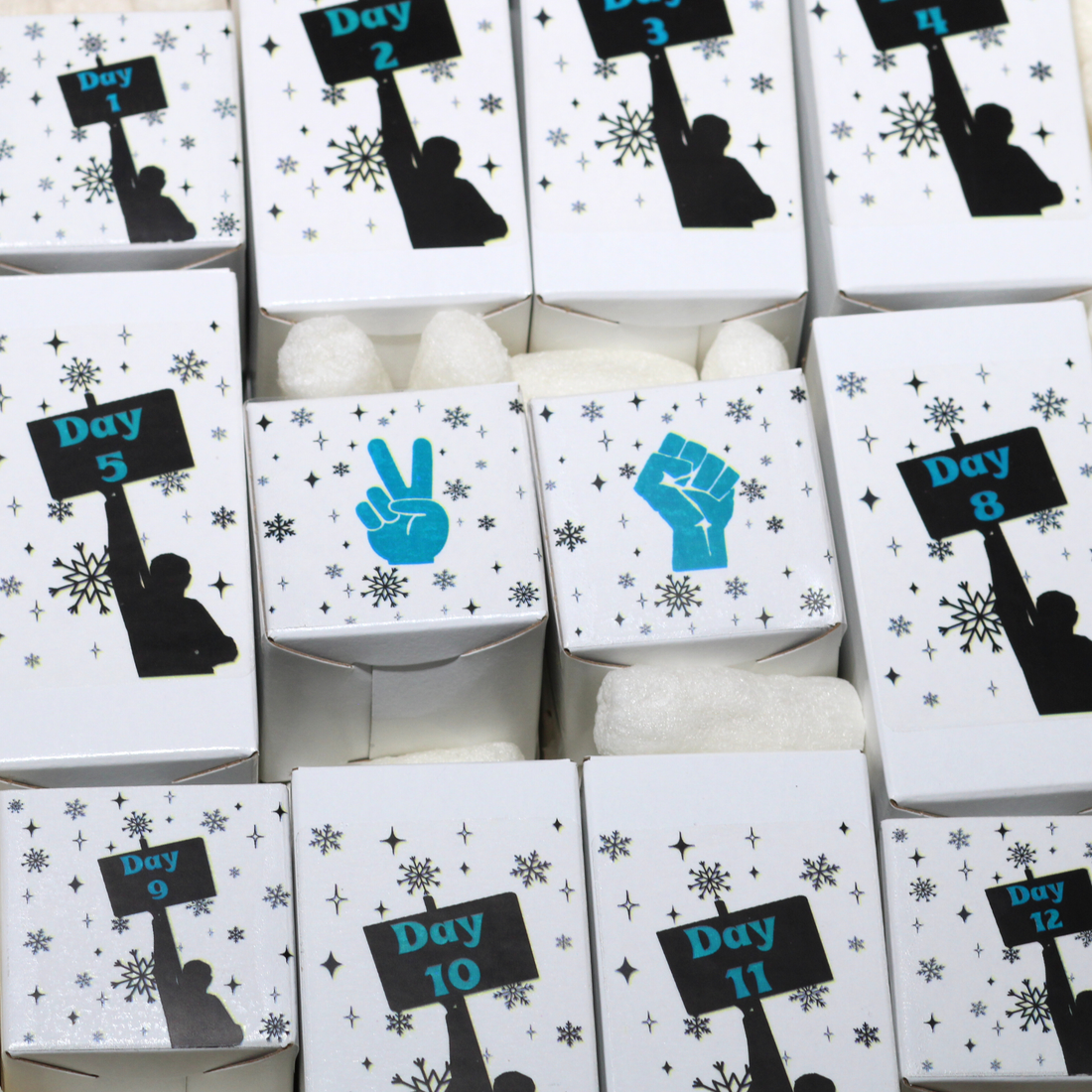 Rebel Advent Calendar- 24 Days of Protest