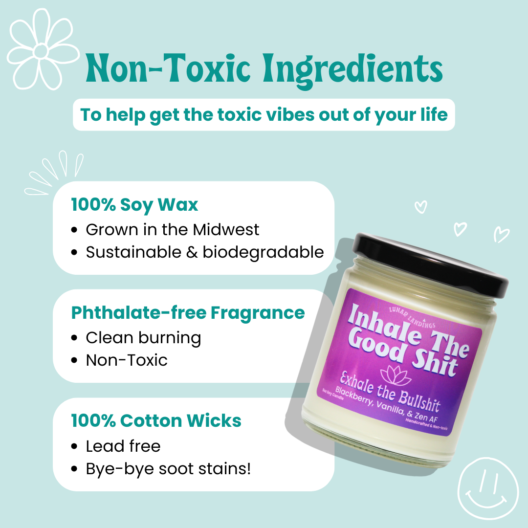 Black Raspberry Vanilla Soy Candle