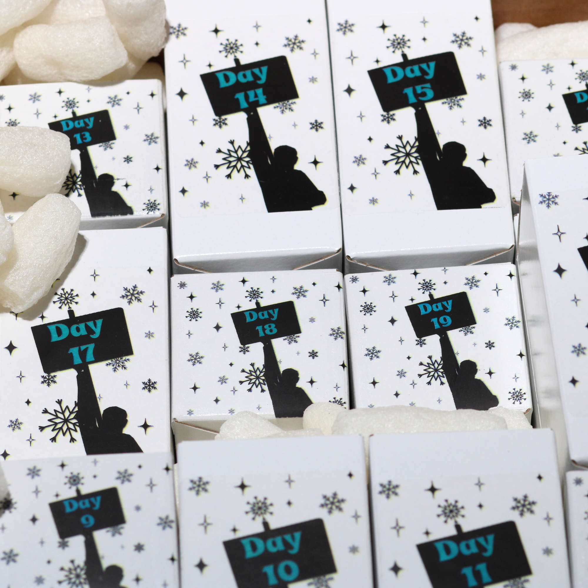 Rebel Advent Calendar- 24 Days of Protest