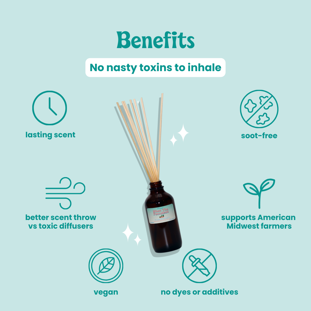 Baja Cactus Blossom Reed Diffuser
