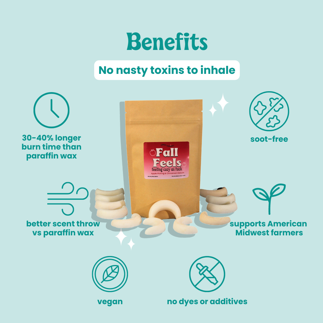 Fal Feels Apple Cider Donut Soy Wax Melts