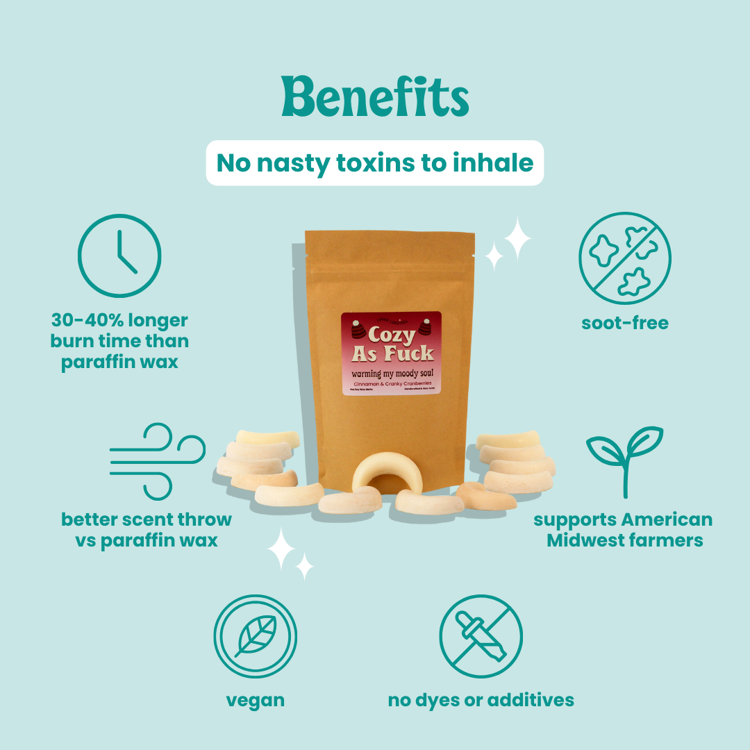 Cozy AF, Cinnamon & Cranberry Wax Melts