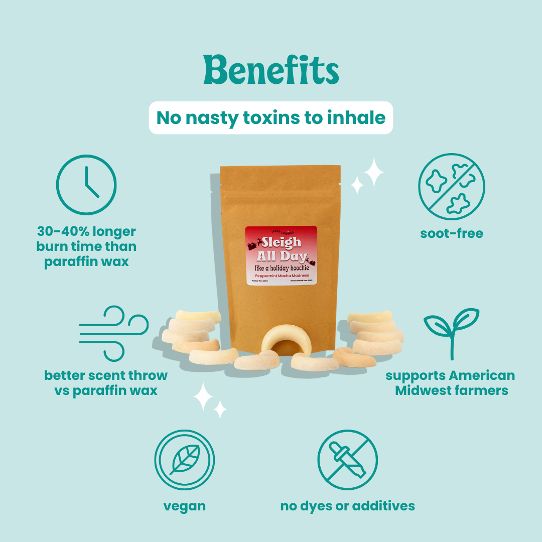 Sleigh All Day, Peppermint Mocha Wax Melts