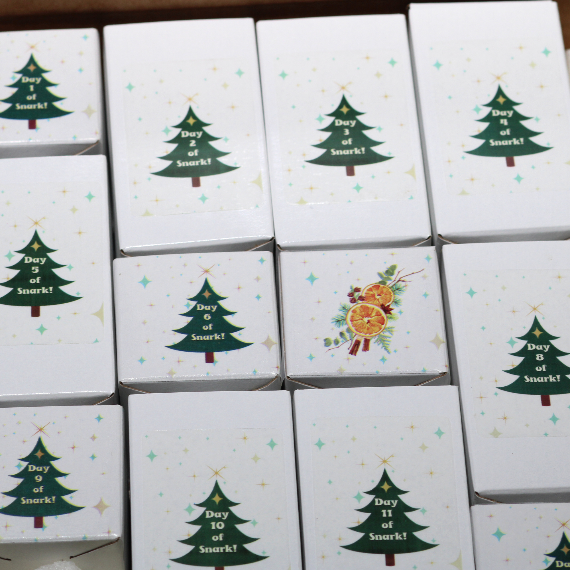 Snarkmas Advent Calendar- 24 Days of Protest