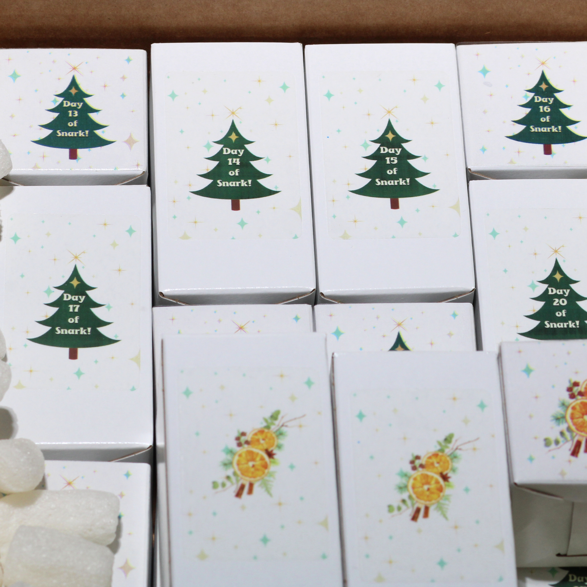 Snarkmas Advent Calendar- 24 Days of Protest