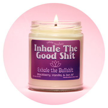 Black Raspberry Vanilla Soy Candle
